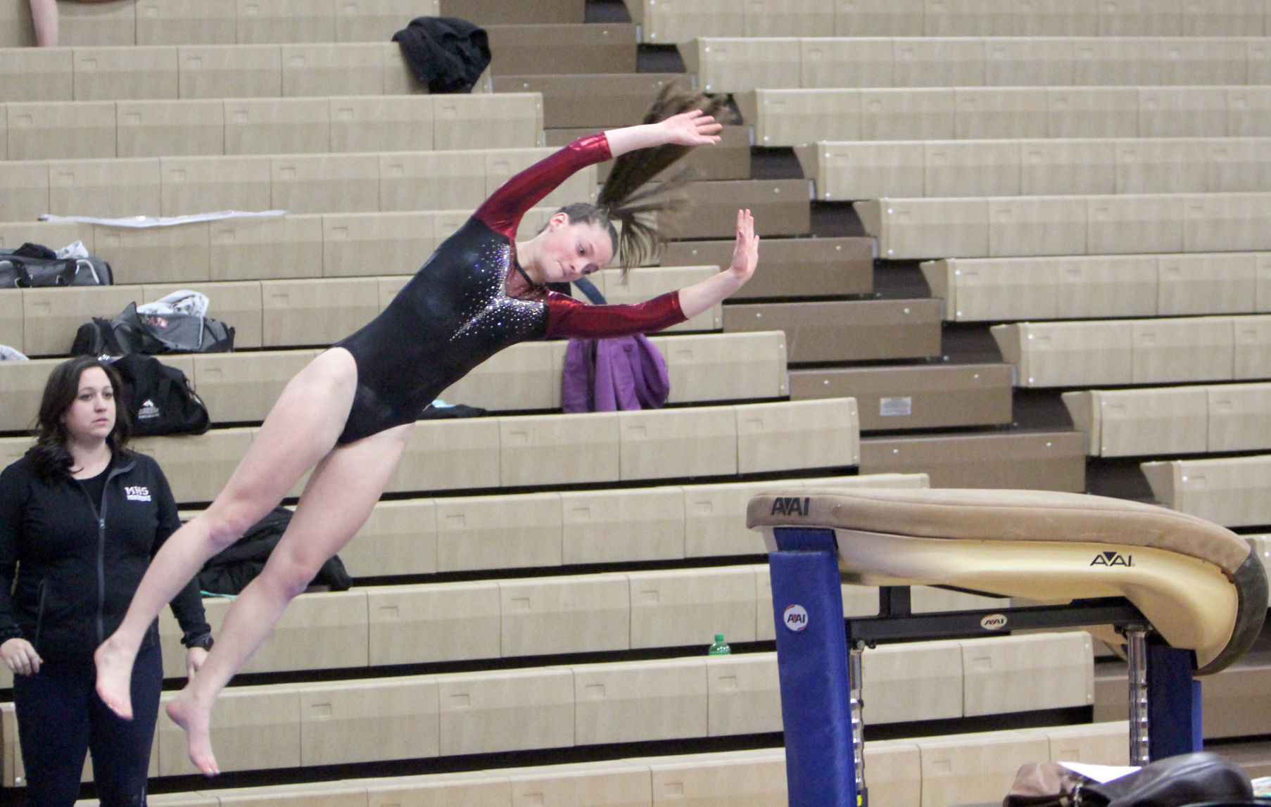 Chi-Hi Gymnastics Triangular 1-17-19